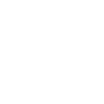 Tratamiento de xilófagos en Mallorca | Tratamiento carcoma Mallorca