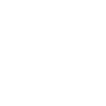 Tratamiento de xilófagos en Mallorca | Tratamiento carcoma Mallorca