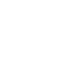 Tratamiento de xilófagos en Mallorca | Tratamiento carcoma Mallorca