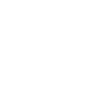 Tratamiento contra termitas en Mallorca | Tratamiento carcoma Mallorca