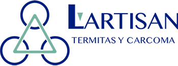 Tratamiento de xilófagos en Mallorca | Tratamiento carcoma Mallorca