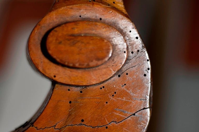 Tratamiento contra carcoma en Mallorca | Tratamiento termitas Mallorca Tratamiento contra carcoma en Mallorca | Tratamiento carcoma Mallorca