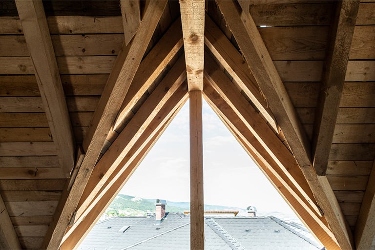 Tratamiento contra carcoma en Mallorca | Tratamiento termitas Mallorca Tratamiento contra carcoma en Mallorca | Tratamiento carcoma Mallorca