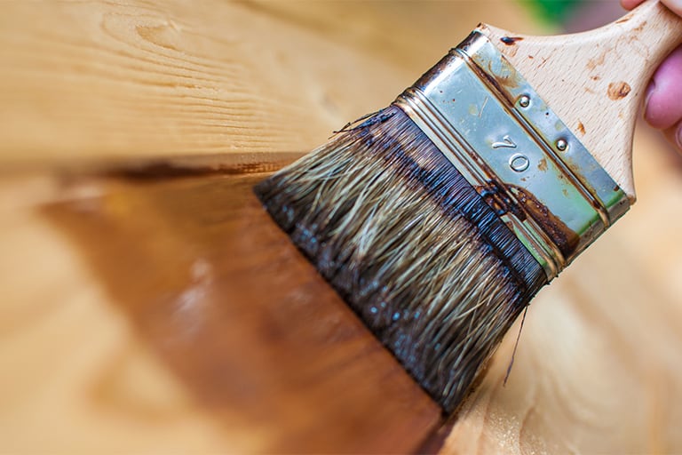 Tratamiento de xilófagos en Mallorca | Tratamiento carcoma Mallorca