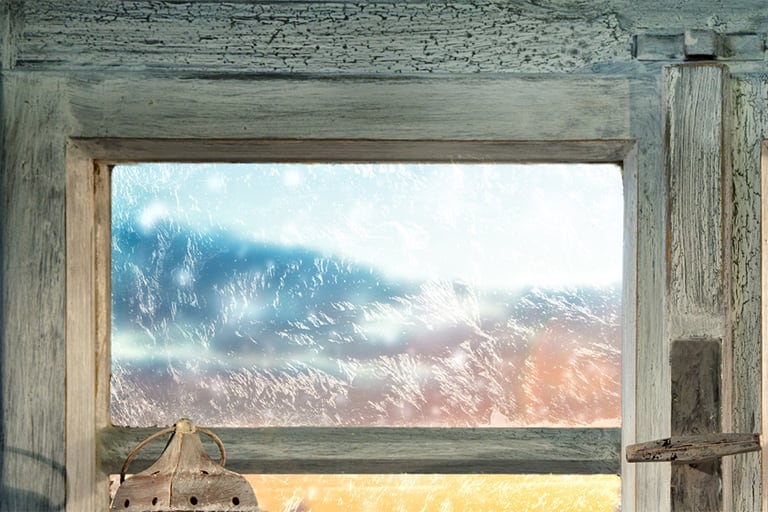 Tratamiento contra termitas en Mallorca | Tratamiento termitas Mallorca Tratamiento contra termitas en Mallorca | Tratamiento carcoma Mallorca