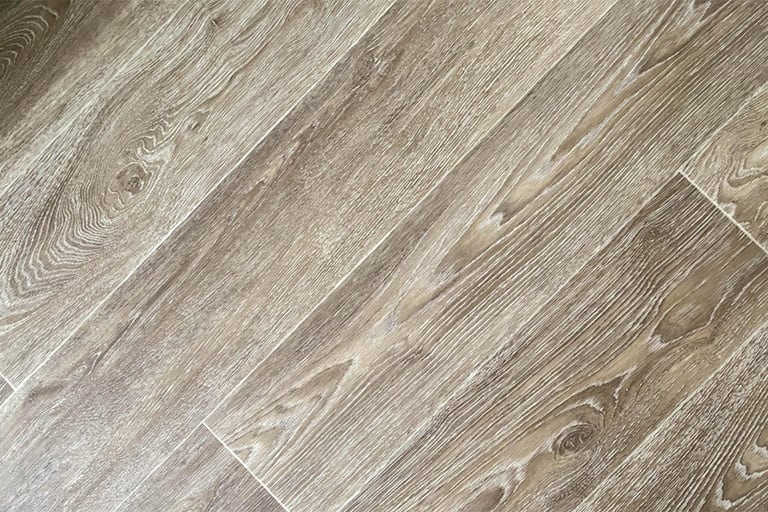 Tratamiento contra termitas en Mallorca | Tratamiento termitas Mallorca Tratamiento contra termitas en Mallorca | Tratamiento carcoma Mallorca