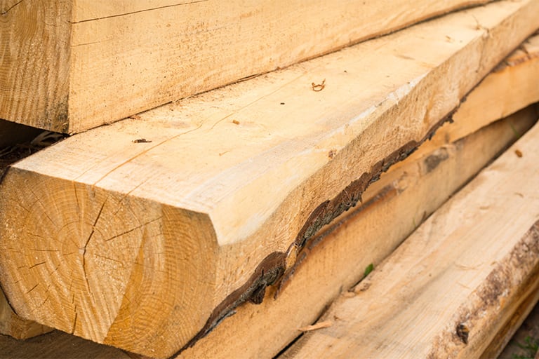 Tratamiento contra termitas en Mallorca | Tratamiento termitas Mallorca Tratamiento contra termitas en Mallorca | Tratamiento carcoma Mallorca