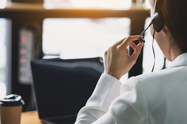 Tratamiento contra termitas en Mallorca | Tratamiento termitas Mallorca Tratamiento contra termitas en Mallorca | Tratamiento carcoma Mallorca